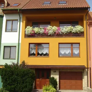 Kupková V Soukromí Brno